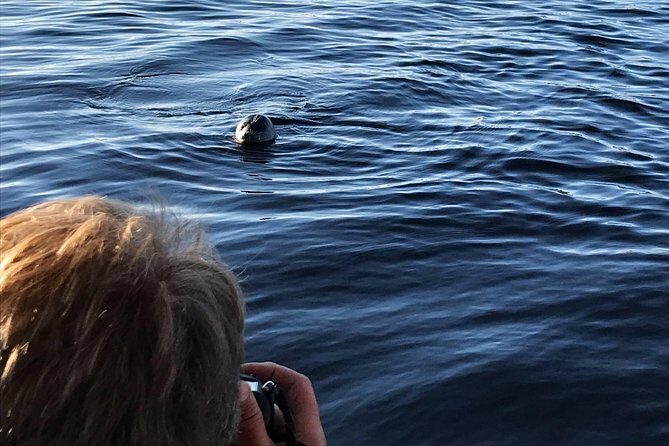Cruise in Puumala by Lake Saimaa - FAQ