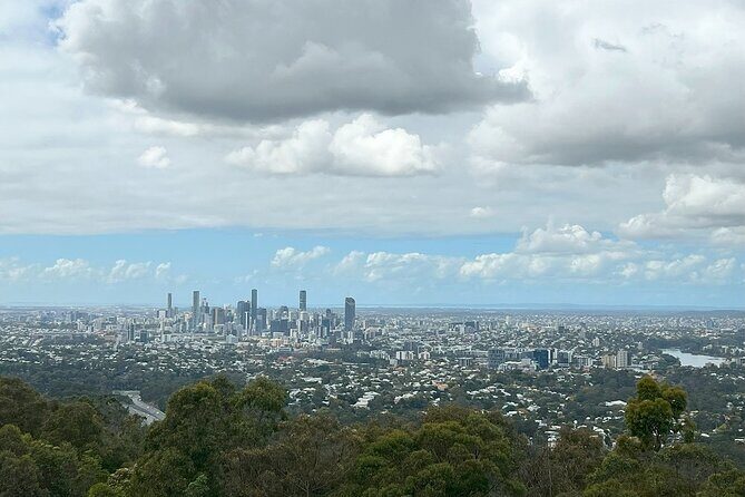 Cruise Lines Shore Tour Brisbane Highlights and Lone Pine - A Deeper Look at the Brisbane Highlights and Lone Pine Tour