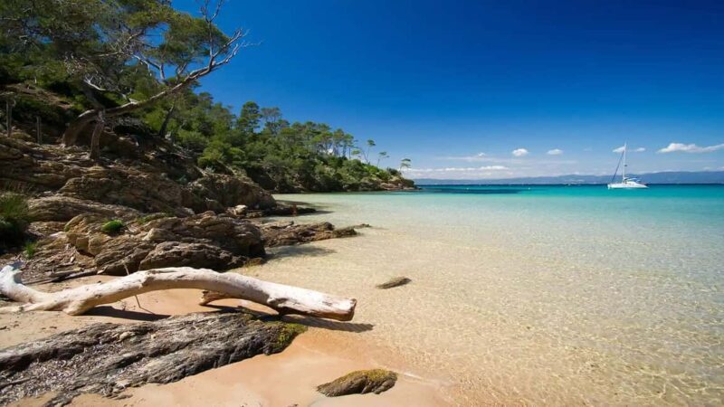 Cruise of the 2 Islands: Porquerolles & Port-Cros with stops - Exploring the South of France: A Full Day on the Islands of Porquerolles & Port-Cros