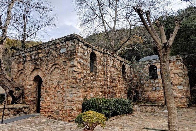 CRUISE PASSENGERS: Ephesus & Terrace Houses & Virgin Mary Tour - The Sum Up