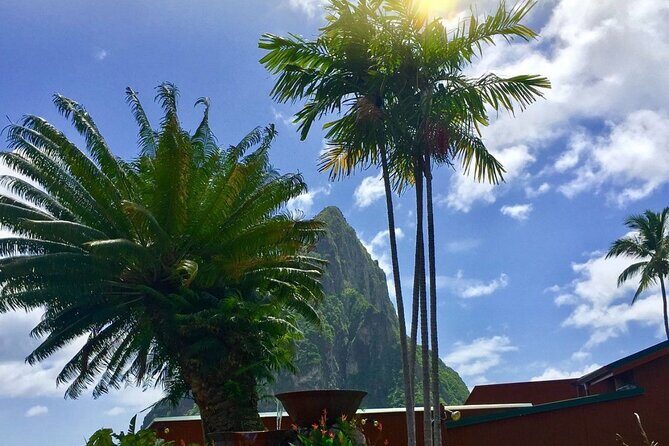 Cruise Port and Airport Arrival Transfers to Hotels in St. Lucia. - Key Points