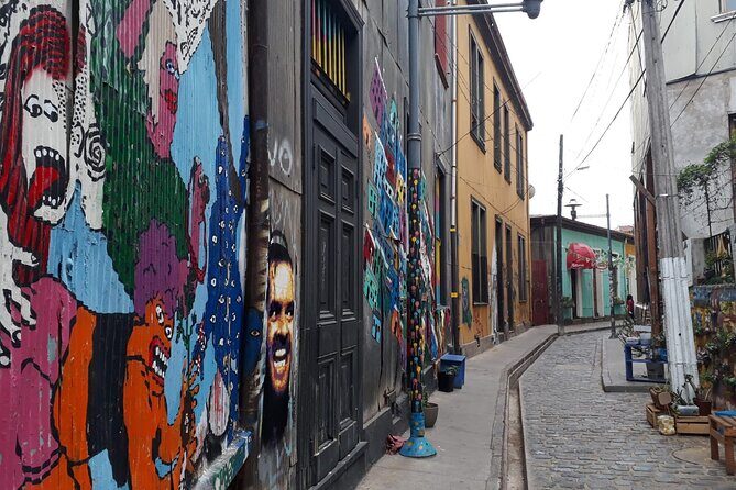 Cruise Port to Valparaiso & Casablanca: Drop-off in Santiago - The Practical Side: What to Expect and Consider