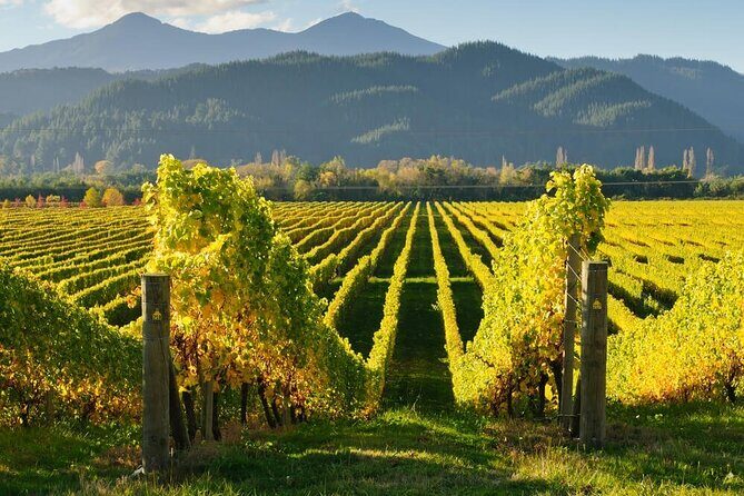 CRUISE SHIP DAY Marlborough Hop On Hop Off Wine Tours - FAQs