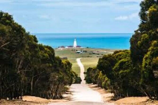 Cruise Ship Dudley Peninsula Tour - Who Is This Tour Best Suited For?