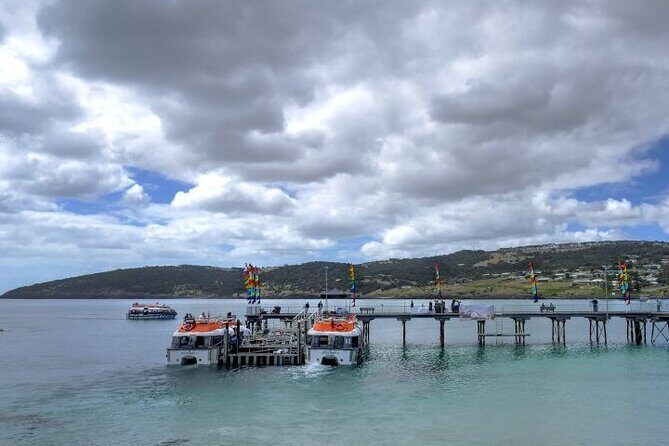 Cruise Ship Dudley Peninsula Tour - Final Thoughts
