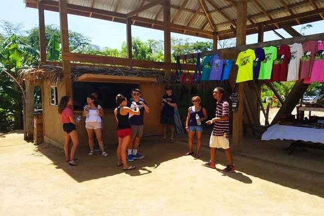 Cruise Ship Family Chocolate Factory, Sloths & Monkeys, Beach, Transportation - FAQs