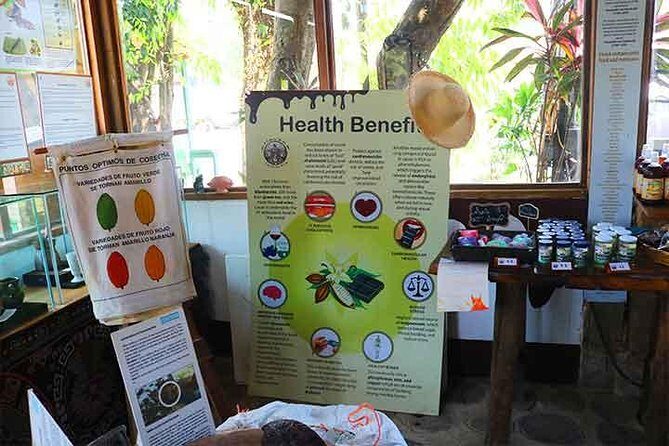 Cruise Ship Family Chocolate Factory, Sloths & Monkeys, Beach, Transportation - Who This Tour Is Best For