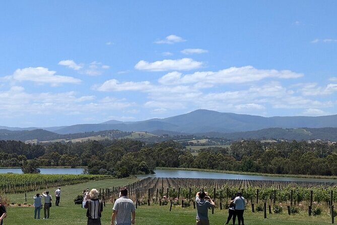 Cruise Ship Friendly Yarra Valley Wine Tour with Port Pickup - A Friendly, Laid-Back Day Exploring the Yarra Valley