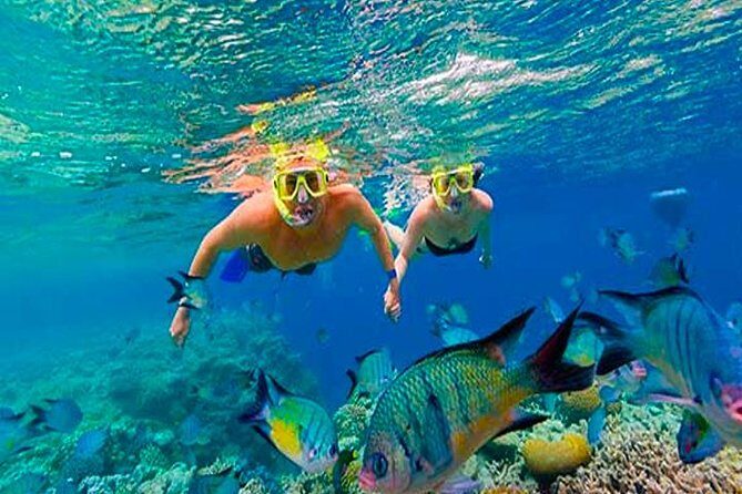 Cruise Ship Multiple Snorkeling, Snacks, Music & Private Vehicle - An In-Depth Look at the Roatan Snorkeling Tour