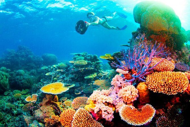 Cruise Ship Multiple Snorkeling, Snacks, Music & Private Vehicle - Wrapping Up: Who Is This Tour Best For?