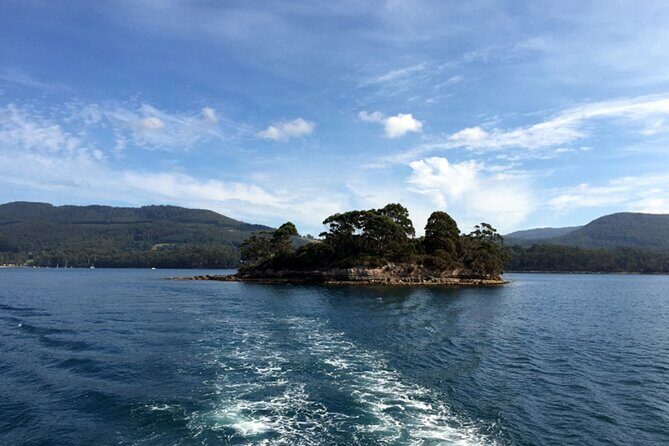 Cruise Ship - Port Arthur Shore Excursion - Hobart - Practical Tips for Booking and Enjoying Your Day
