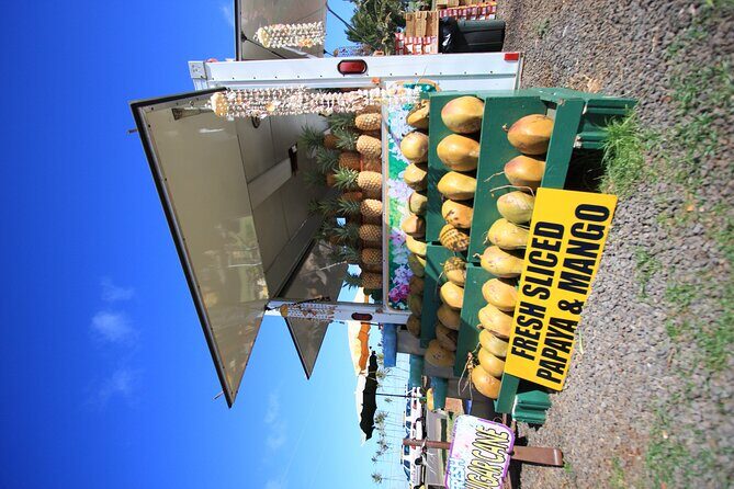 Cruise Ship Shore Excursion: Kauai Movie Sites Tour - FAQs