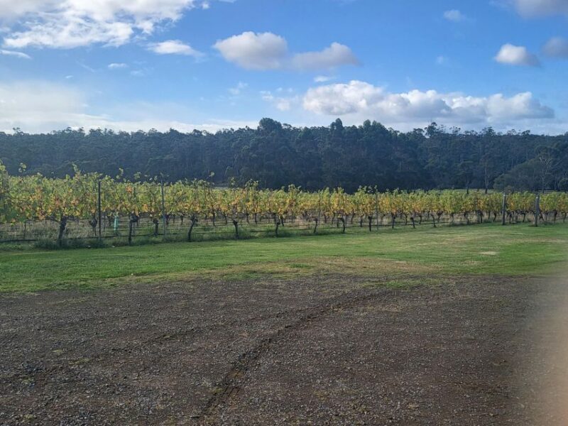 Cruise Ship - Wine Shore Excursion - Hobart - Key Points