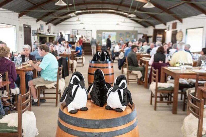 Cruise Shore Exc. Ea San Lorenzo (Penguins) Lunch Included - Key Points