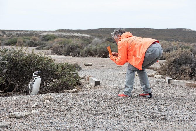 Cruise Shore Excursion Ea San Lorenzo Peninsula Valdes - Patagonia - Argentina - The Food and Comfort