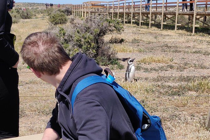 Cruise Shore Excursion Punta Tombo - From Puerto Madryn Patagonia - Frequently Asked Questions