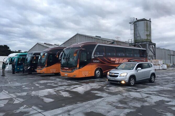 Cruise Shore Private Excursion Osorno Volcano & Petrohué Falls - Who Will Love This Tour?