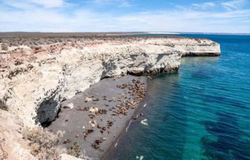 Cruise Shore Punta Loma and city overview - The Sum Up: Who Will Love This Tour?