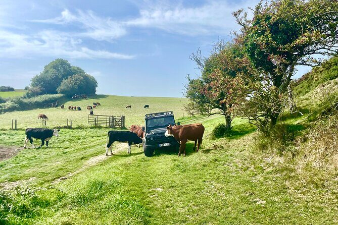 CRUISE SPECIAL- STONEHENGE & SALISBURY - PRIVATE JEEP SAFARI Tour - The Value of a Private 4x4 Safari