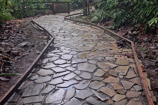 *Cruise Stopover* - CASCADE WITH CRAYFISH- Sainte-Anne Beach - FAQs