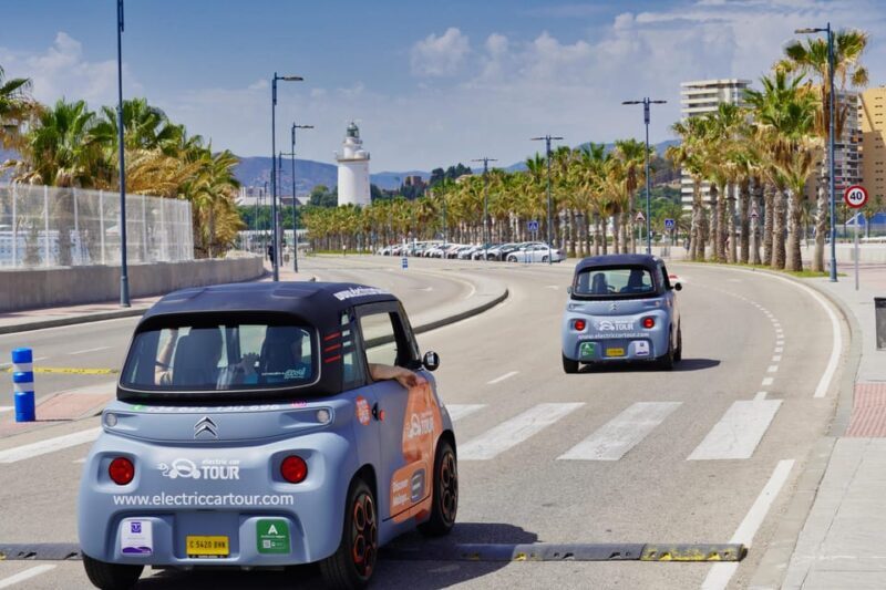 Cruise Terminal Pickup: Málaga in 2 Hours by Electric Car - What to Expect: A Detailed Breakdown of the Itinerary