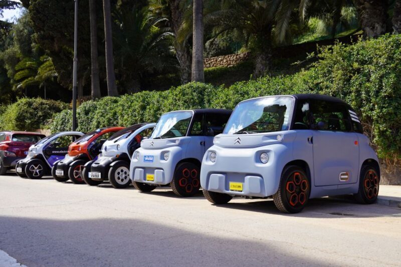 Cruise Terminal Pickup: Málaga in 2 Hours by Electric Car - Authentic Experiences and Authenticity