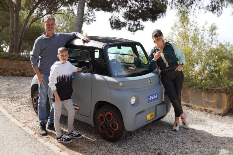 Cruise Terminal Pickup: Málaga in 2 Hours by Electric Car - Final Thoughts: Who Should Consider This Tour?