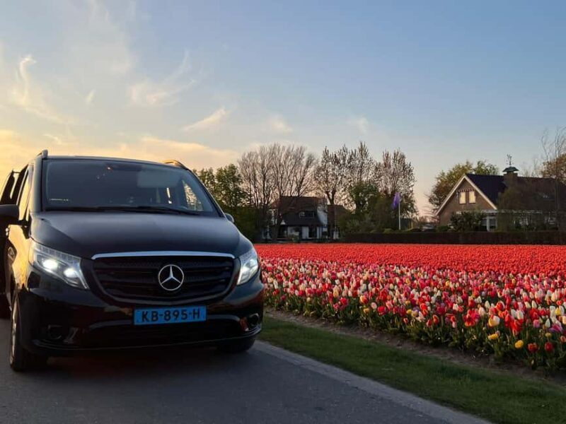 Cruise Terminal Rotterdam: Private Tour by Luxury Van - A Private Tour from Rotterdams Cruise Terminal: What to Expect