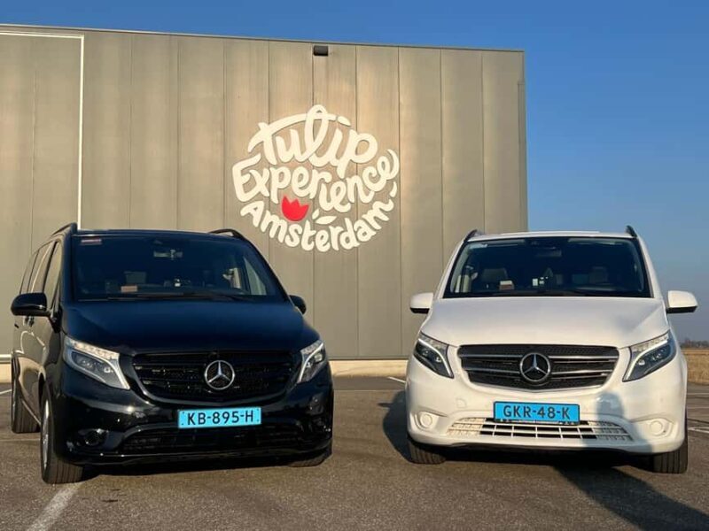 Cruise Terminal Rotterdam: Private Tour by Luxury Van - Key Points