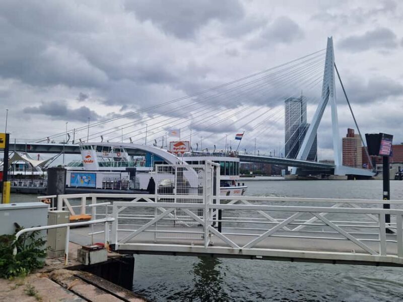 Cruise Terminal Rotterdam: Private Tour by Luxury Van - The Sum Up: Who Is This Tour For?