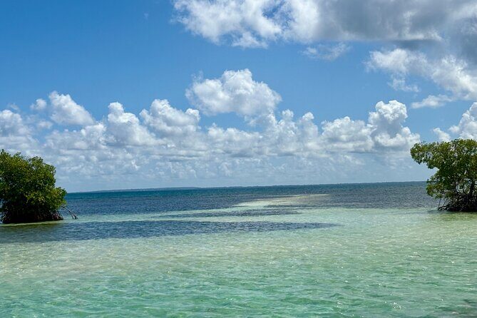 Cruise to the Grand Ass DE Sac in an open air aquarium - An In-Depth Look at the Guadeloupe Grand Ass DE Sac Cruise