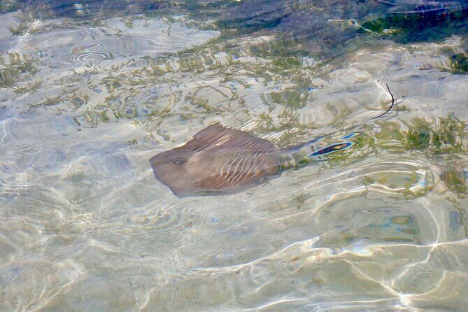 Cruise to the Grand Ass DE Sac in an open air aquarium - FAQs