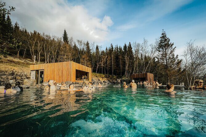 Cruise Tour Godafoss Turf Houses and Forest Baths Small Group - Who Should Book This Tour?