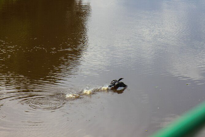 Cruise Tour through the Bolivian Amazon in Trinidad Beni - Final Thoughts