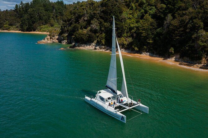 Cruise, Walk, and Sail in Abel Tasman National Park - A Detailed Look at the Tour Experience