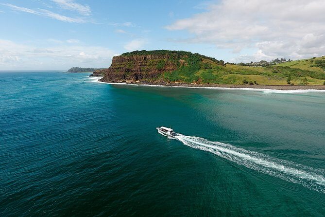 Cruise with Dolphins in Byron Bay - The Sum Up