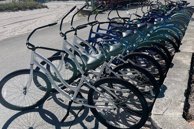 Cruiser Bike Rental at Crandon Park - Exploring Key Biscayne on a Cruiser Bike Rental