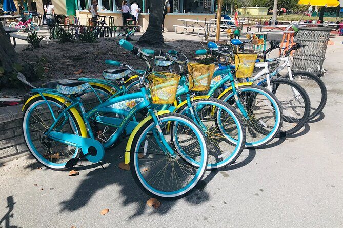 Cruiser Bike Rental at Crandon Park - Key Points