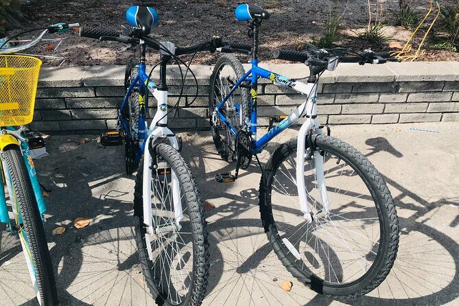 Cruiser Bike Rental at Crandon Park - Frequently Asked Questions