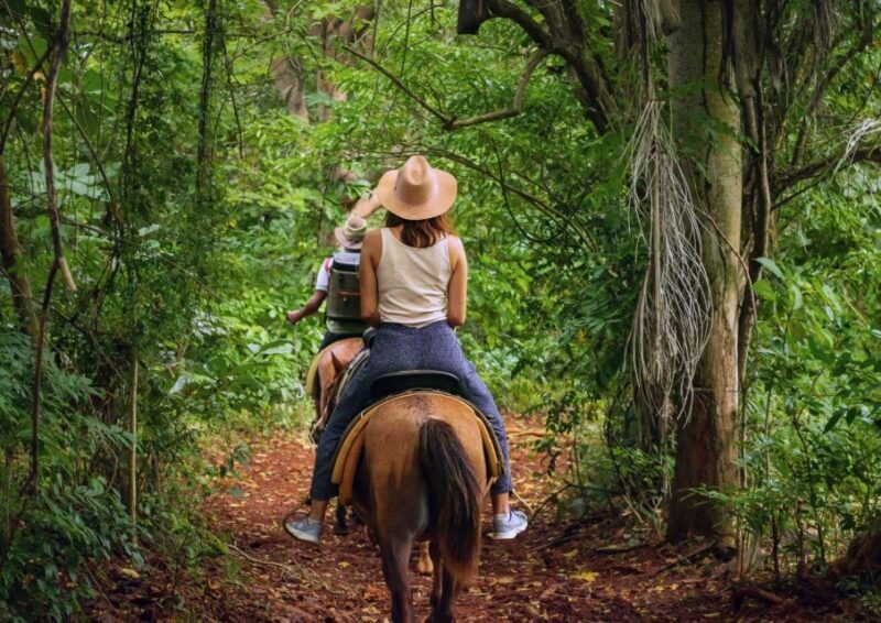 Cruseilles: Horseback Riding in the Countryside - The Post-Ride Experience