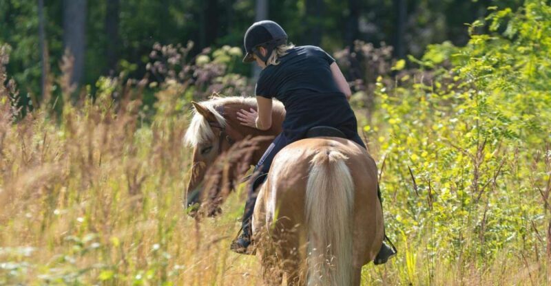 Cruseilles: Horseback Riding in the Countryside - Practical Details