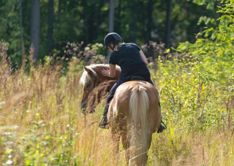 Cruseilles: Horseback Riding in the Countryside - Considerations and Who It’s For