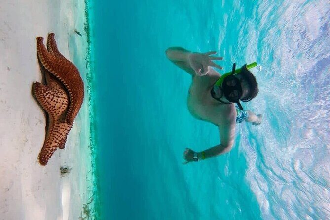 Crystal blue cozumel awaits you - A Genuine Cozumel Experience: Crystal Blue Cozumel Awaits You