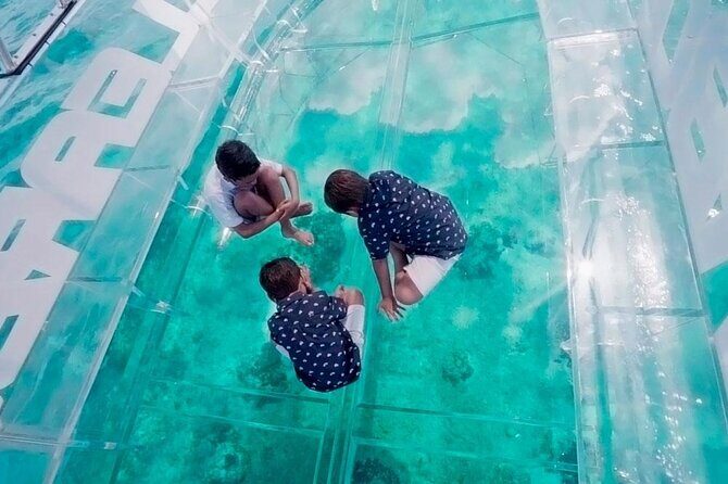 Crystal Boat Tour to San Miguel de Cozumel with Snorkeling - Authentic Traveler Feedback