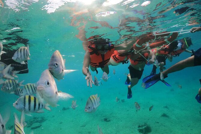 Crystal Boat Tour to San Miguel de Cozumel with Snorkeling - Price and Value