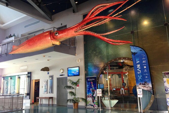 Crystal Caves and Bermuda Underwater Exploration Institute Admission - Who Will Enjoy This Tour?