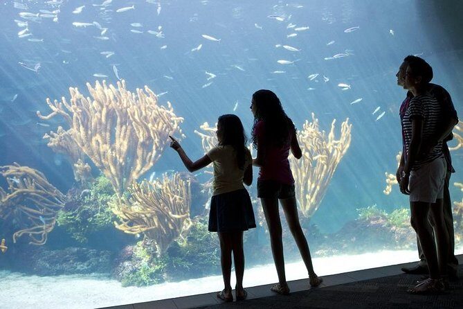 Crystal Caves, Aquarium, City of Hamilton and Ferry - Key Points