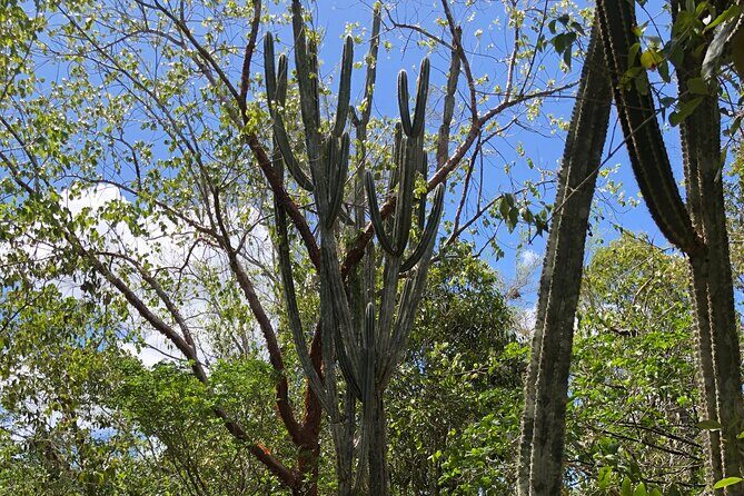 Crystal clear cave: An unforgettable snorkeling - Authentic Insights from Reviews