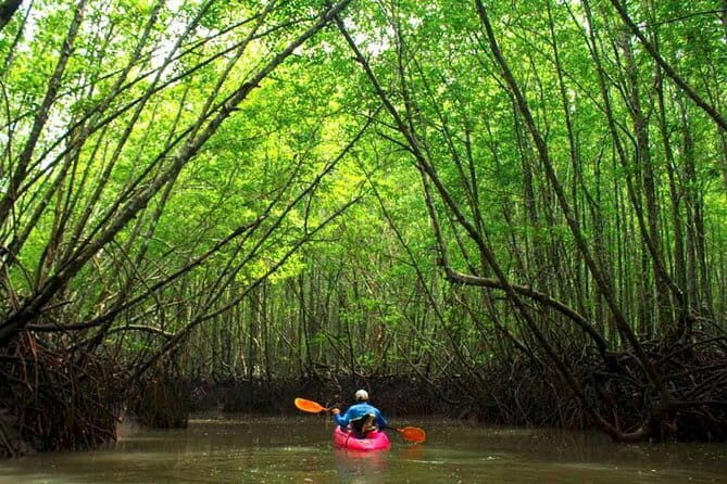 Crystal Clear Kayak Tour in Krabi - Analyzing the Value