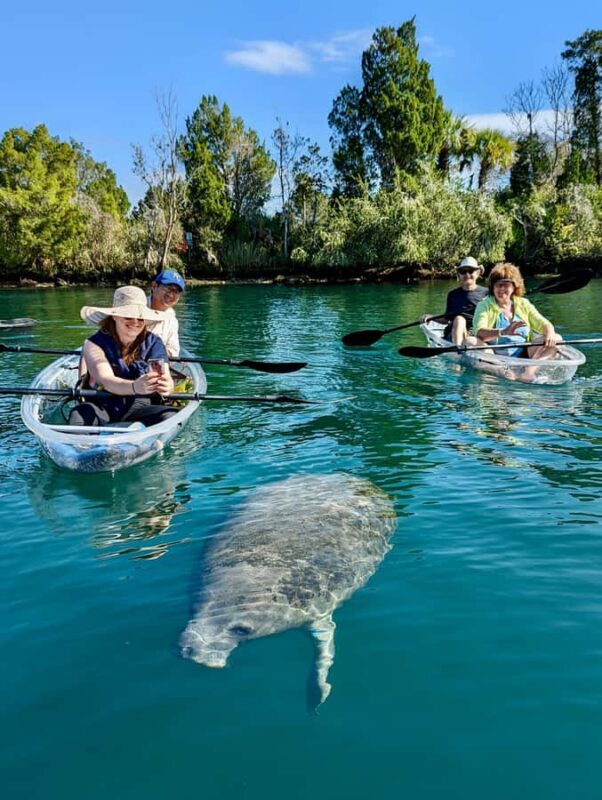 Crystal River: Clear Kayak Manatee & Springs Tour - The Value of This Experience
